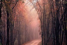 陶金谈申花队多线作战:硬着头皮上,相信我们球队的韧劲,申花淘金