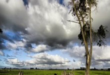 陶金谈申花队多线作战:硬着头皮上,相信我们球队的韧劲,申花淘金