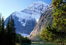 陶金谈申花队多线作战:硬着头皮上,相信我们球队的韧劲,申花淘金