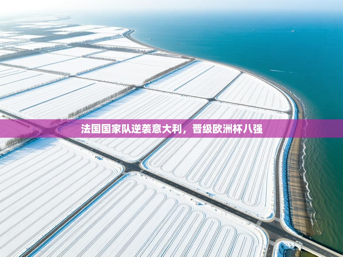 法国国家队逆袭意大利，晋级欧洲杯八强  第1张