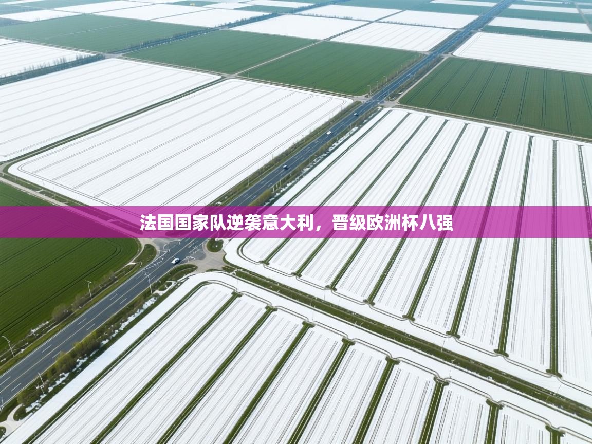 法国国家队逆袭意大利，晋级欧洲杯八强  第2张