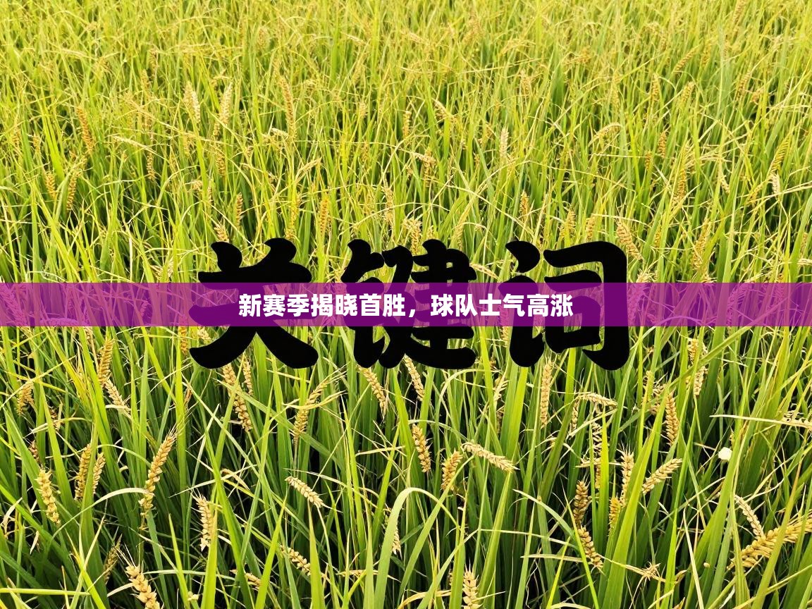 新赛季揭晓首胜，球队士气高涨  第2张