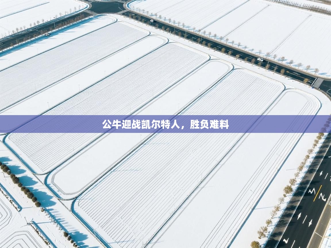 公牛迎战凯尔特人，胜负难料  第1张