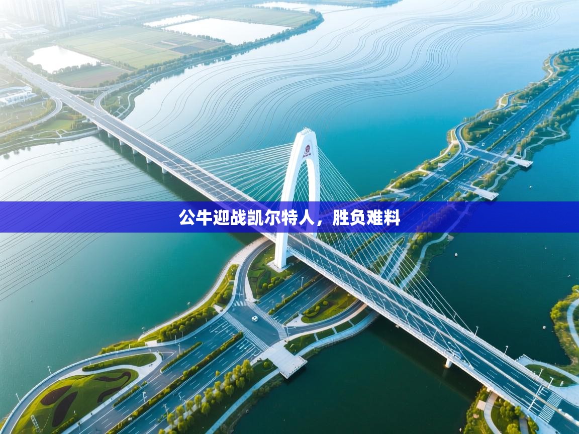 公牛迎战凯尔特人，胜负难料  第2张