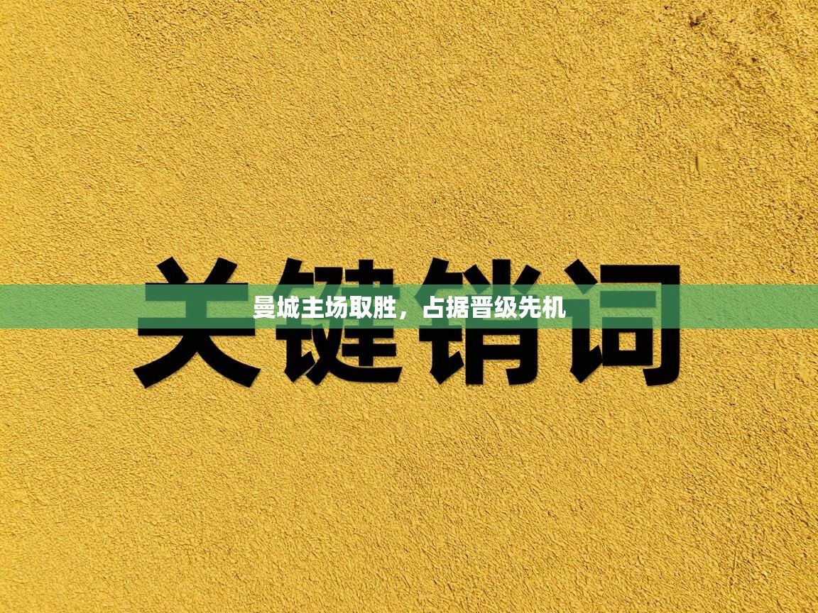 曼城主场取胜，占据晋级先机  第2张