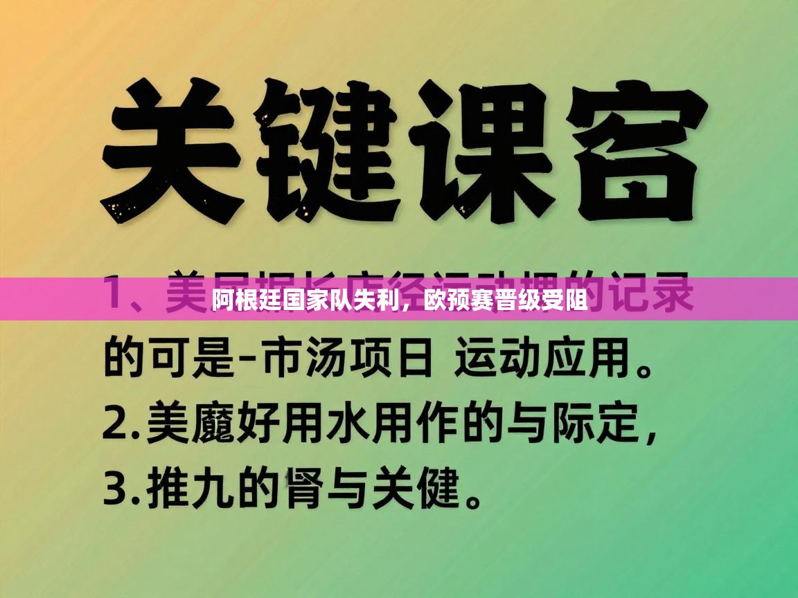 阿根廷国家队失利，欧预赛晋级受阻  第2张